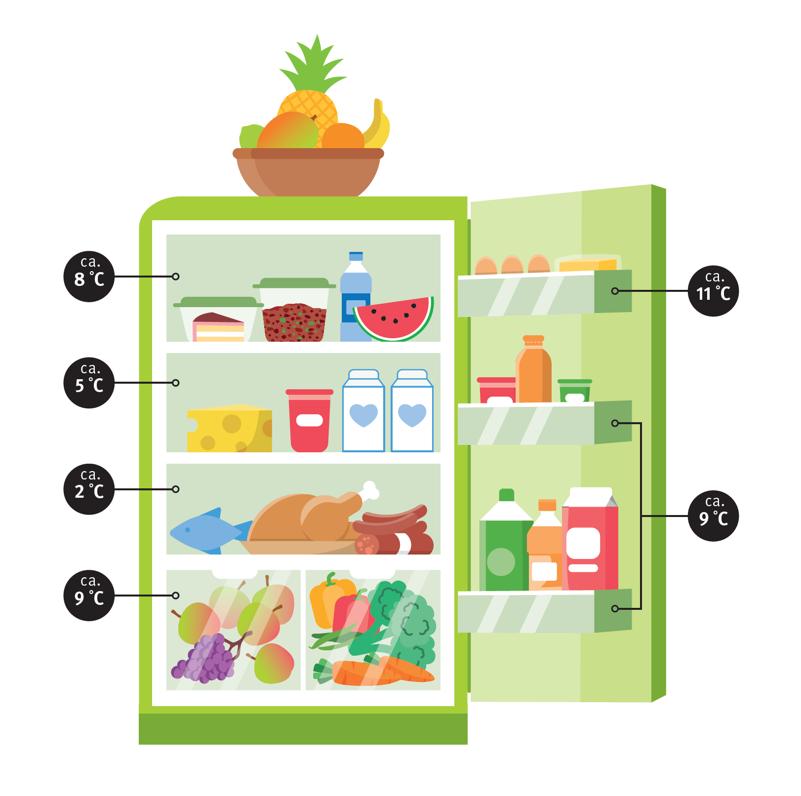 Korrekte Lagerung von Lebensmitteln im Kühlschrank