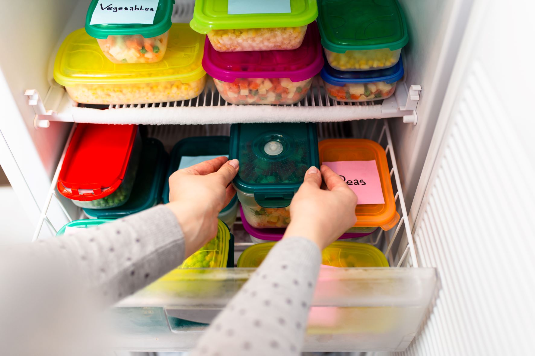 Boxen werden in Gefrierschrank gelegt